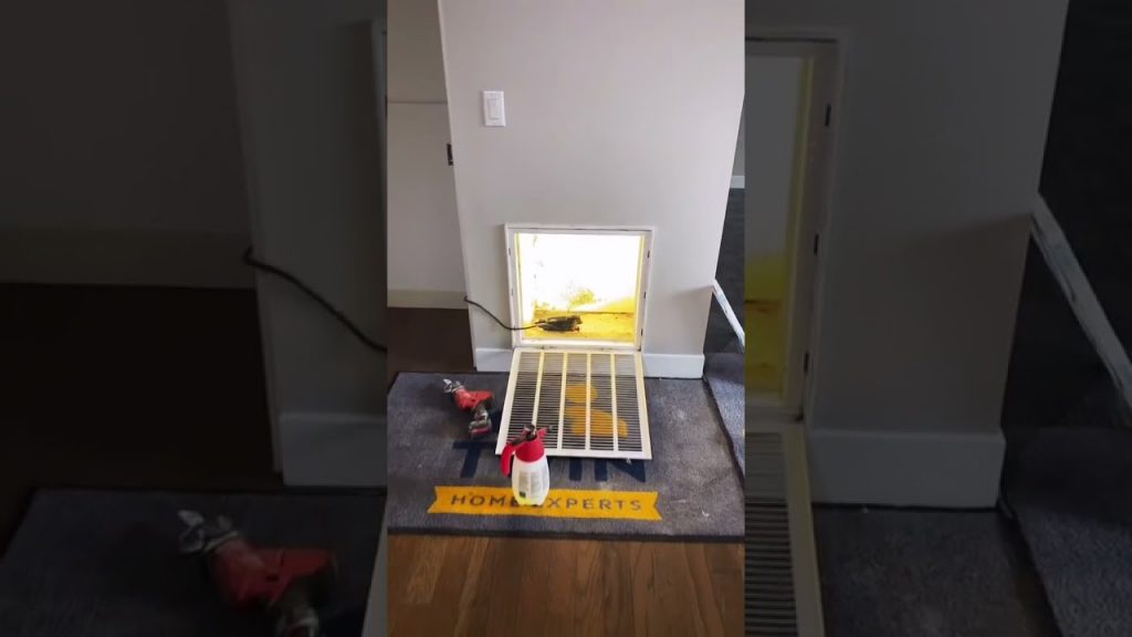 “Ultimate Guide: Unveiling Crucial Insights for HVAC Mold Prevention and Treatment”