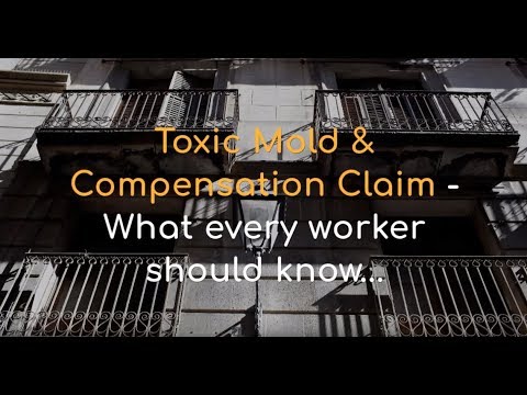 “Empowering Workers: Unveiling the Truth about Toxic Mold Compensation Claims – Essential Insights for All”
