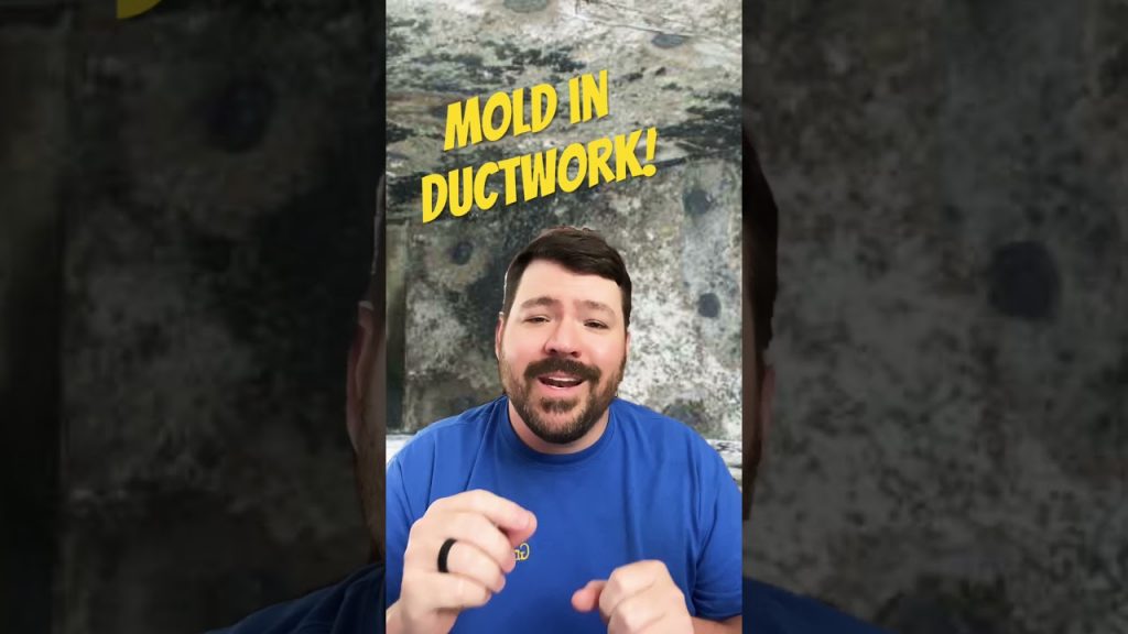 “Ductwork Mold Issue Unveiled: A Must-Know Concern for Improved Indoor Air Quality!”