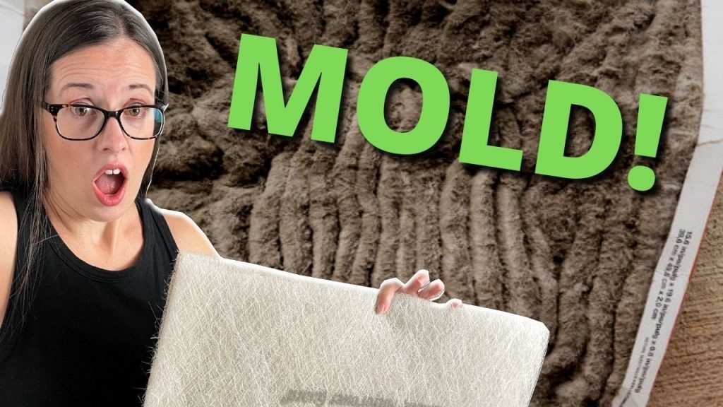 “Solving the Mold Issue: Effective Tips for AC Filter Maintenance and Prevention”
