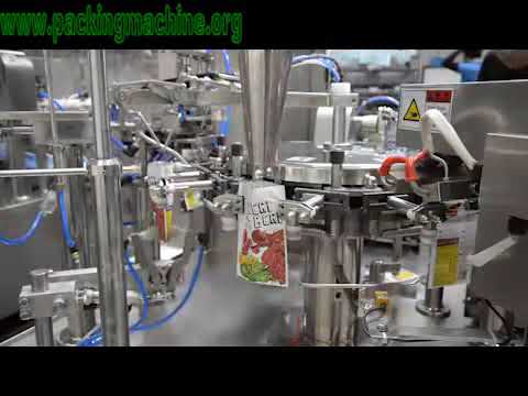 Bag Packaging Equipment with Horizontal Bag Feeding for Rotary Pouch Packaging