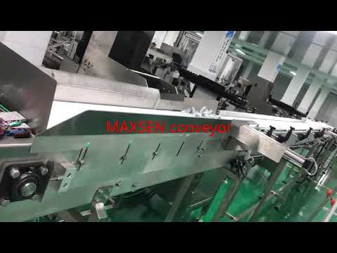 “Efficiently Enhancing Pharmaceutical Packaging with Advanced Conveyor System Design”