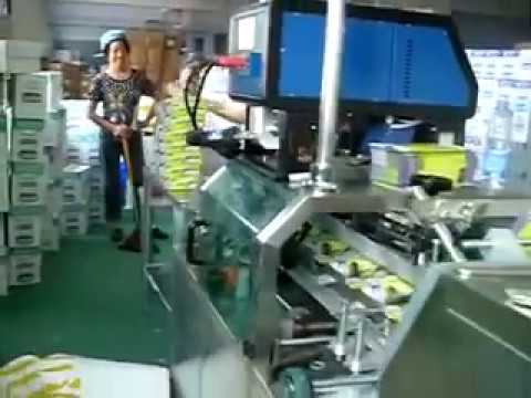 Plastic Bag Pack-to-Box Machine