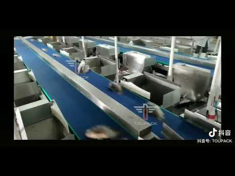 “Revolutionary Fresh Food Conveyor System Enhancing Seafood Packaging Efficiency”