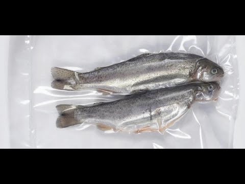 “Revolutionary Nitrogen-Infused Vacuum Sealer for Dry Fish Preservation”