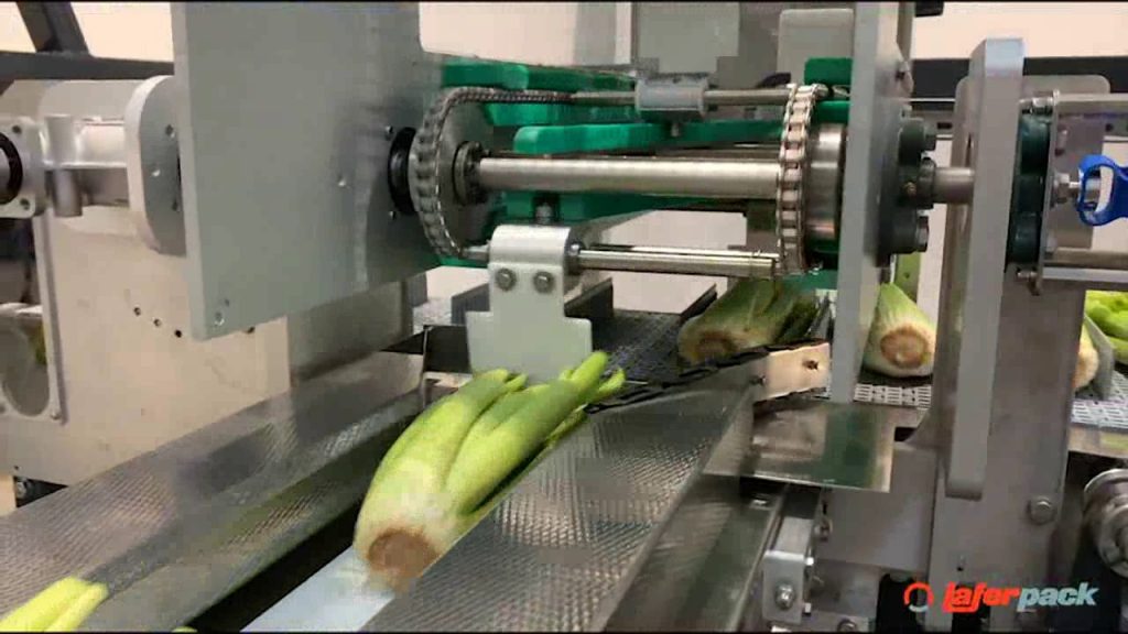 “Revolutionary Vegetable Packaging Line: Unlocking Efficiency and Precision for Automated Celery Packaging”