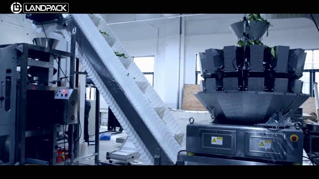 “Revolutionary and Affordable Vegetable Packaging Solution: Unparalleled Packing System Price”