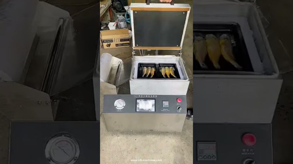 Unique Video: Innovative Desktop Fish Skin Vacuum Sealer for Efficient Food Packing