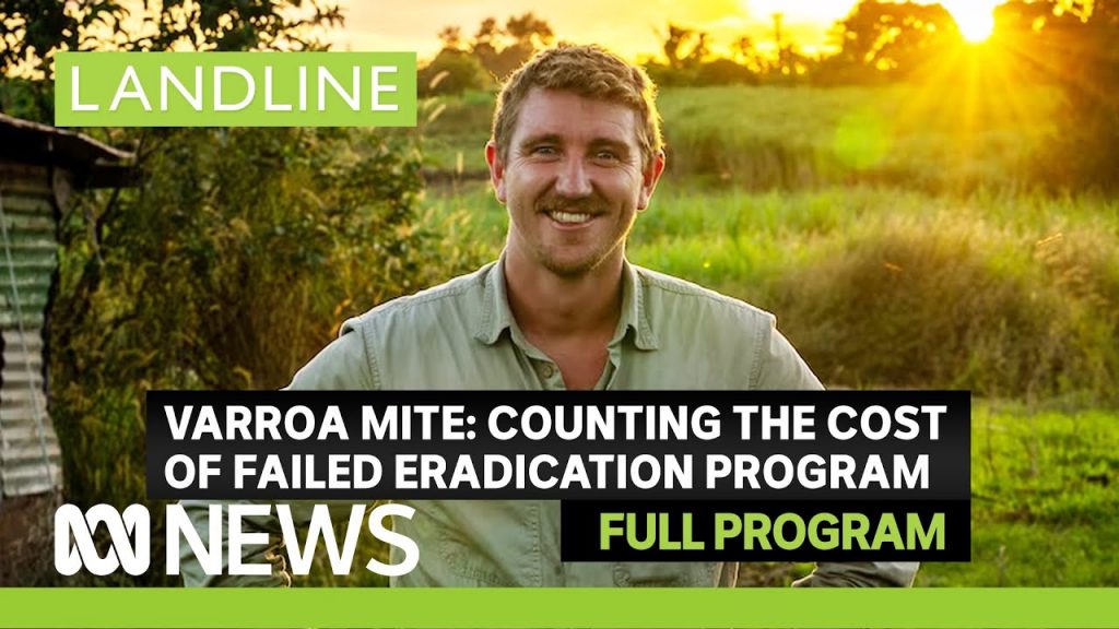 “Varroa Mite Management, Trade Disruptions, and Aussie Popcorn Investment: Insights from Landline’s Food Packing Machine Price Report”